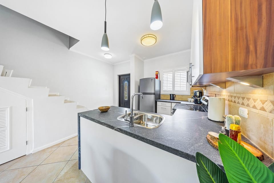 Fully functional kitchen with induction stove, and other appliances
