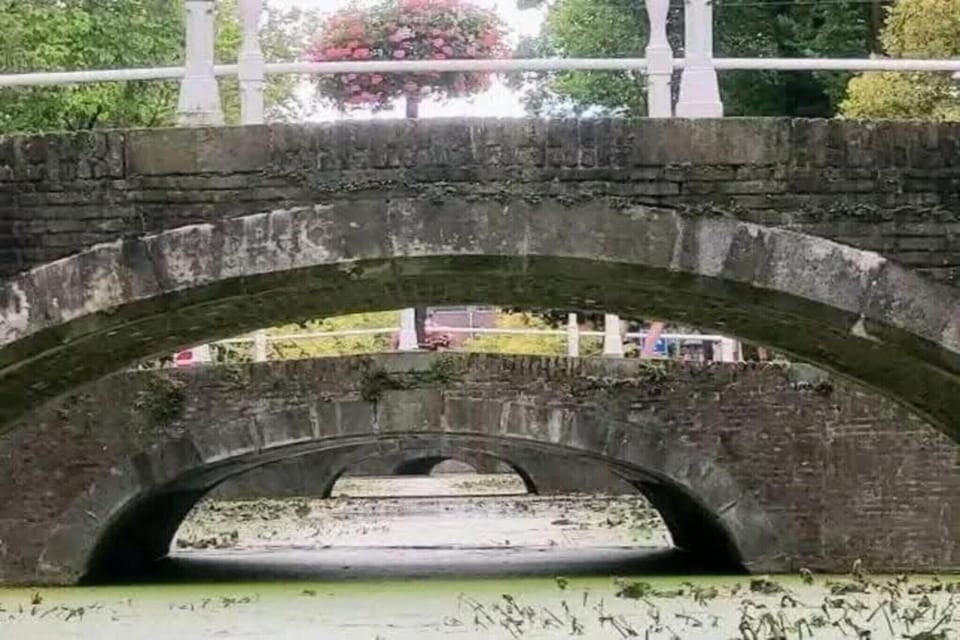 Region [summer] (>5 km)