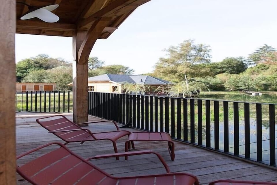 Patio / Balcony