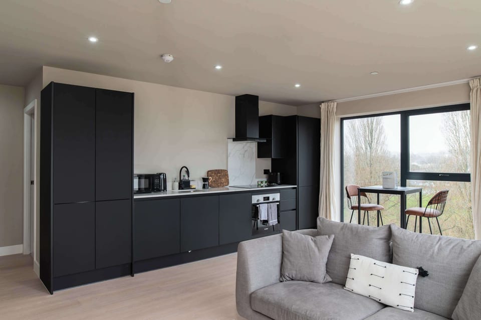 Living Space and Kitchen