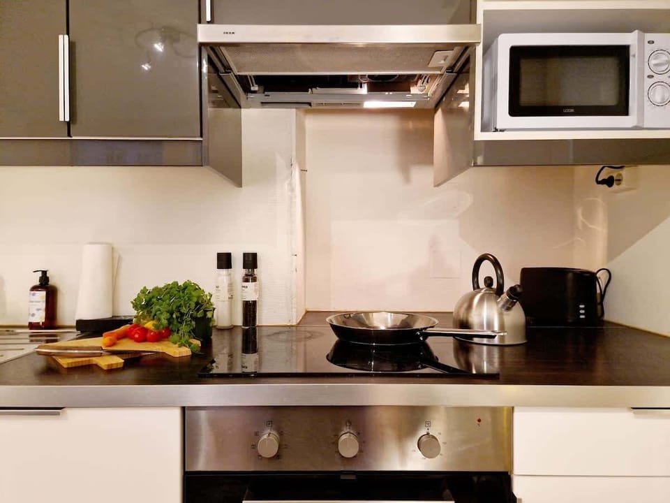 Stainless steel pans