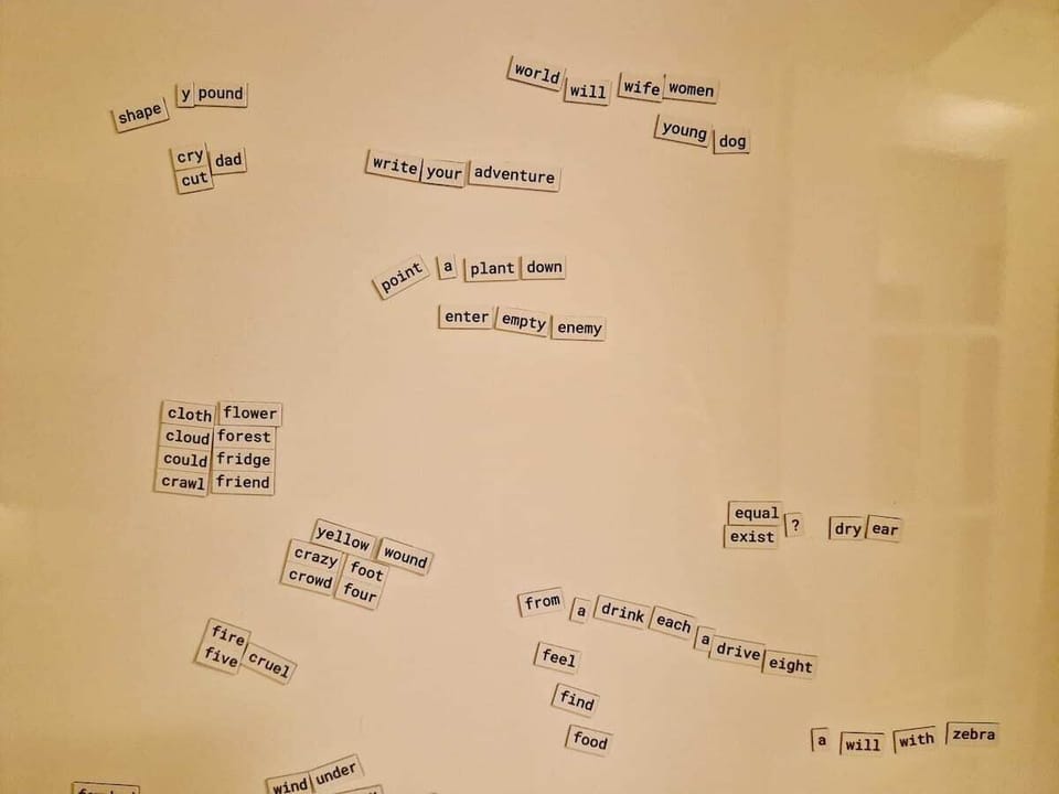 Magnetic poetry!