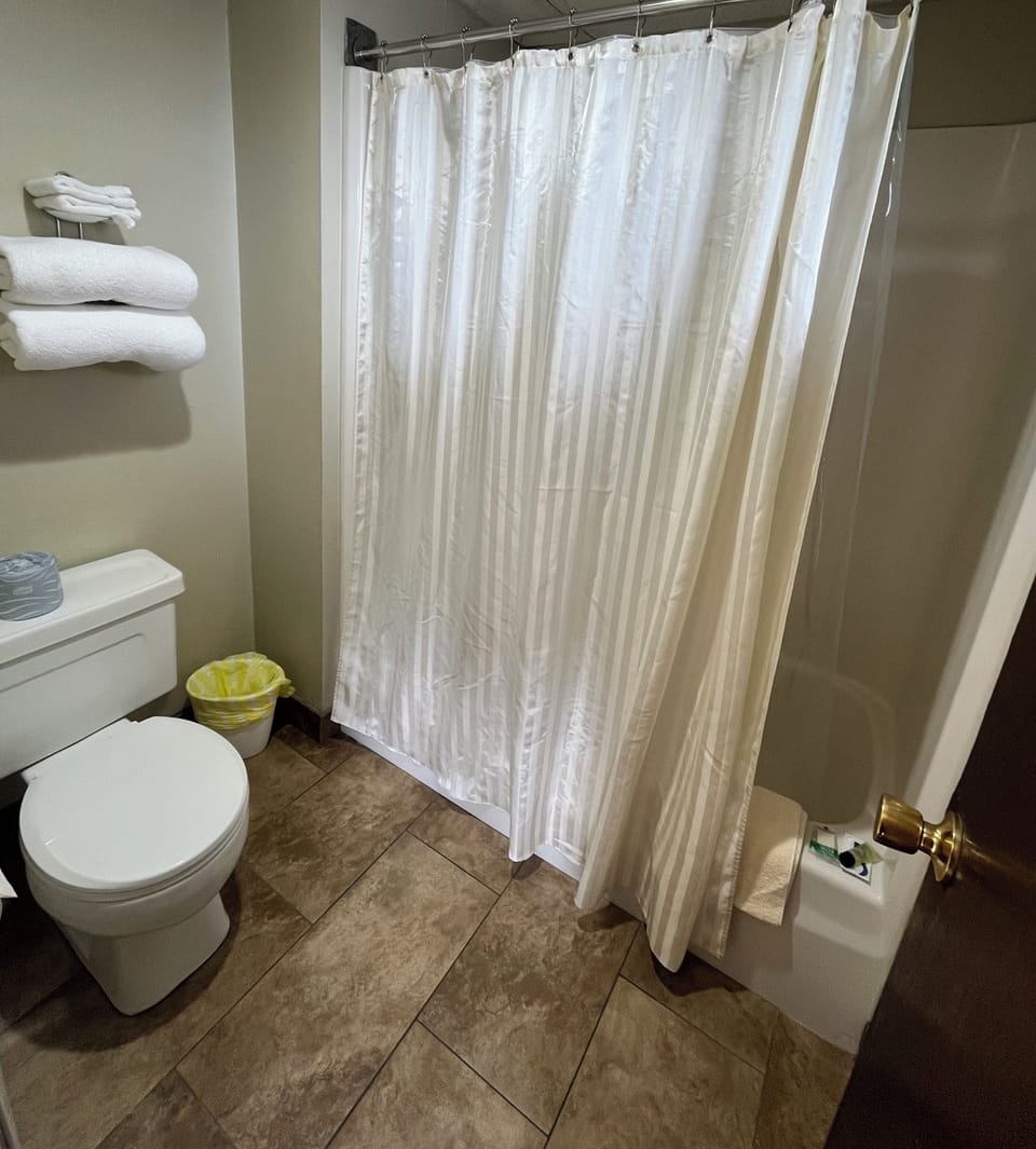 Standard Room, 2 Queen Beds, Mountain View | Bathroom | Towels, soap, shampoo, toilet paper