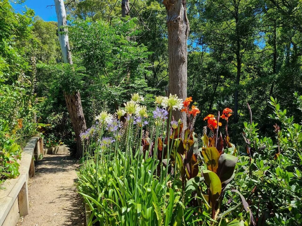 More private backyard garden pathways
