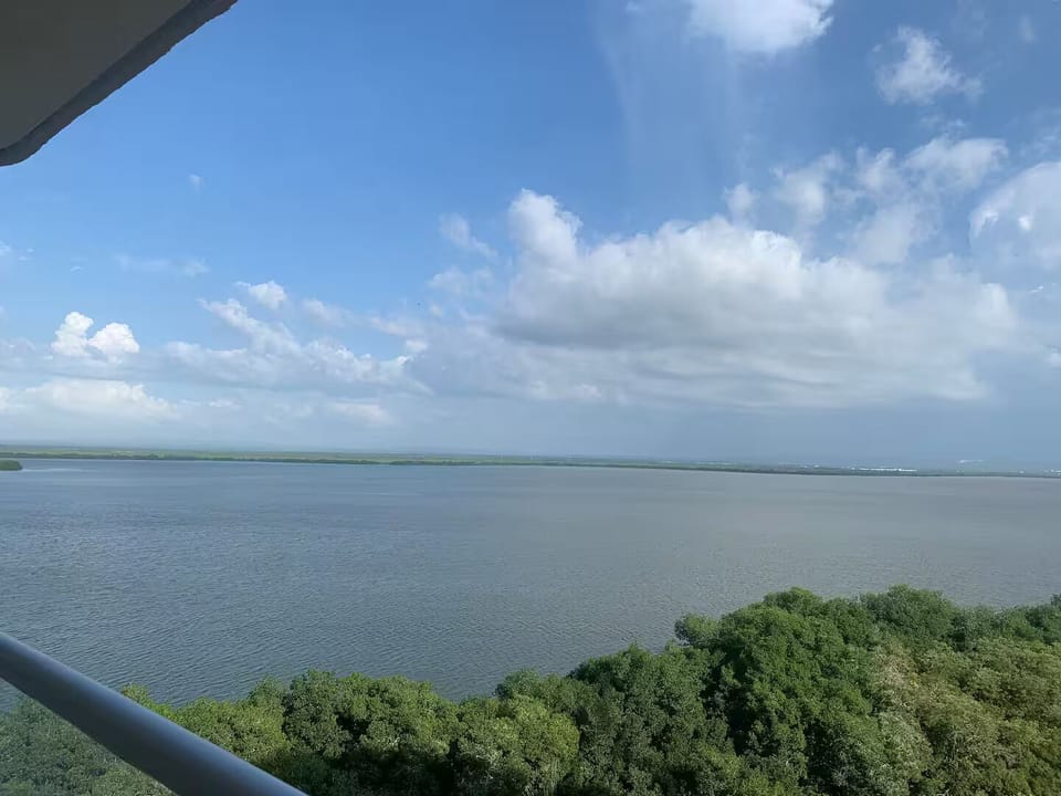 View from property