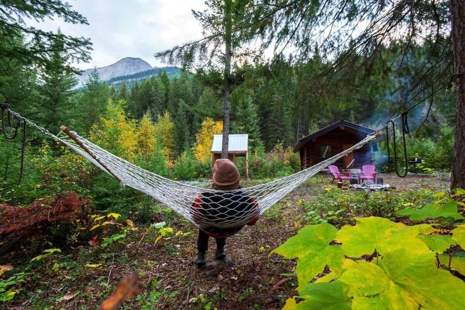 relax in the hammock