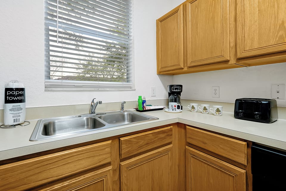 Double kitchen sink