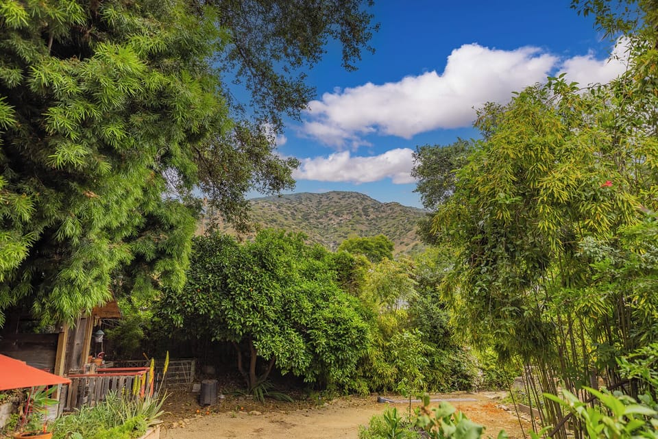 View from yard