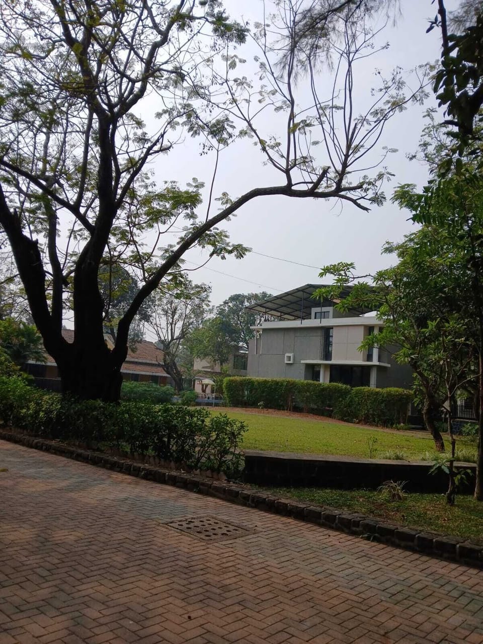 Property grounds