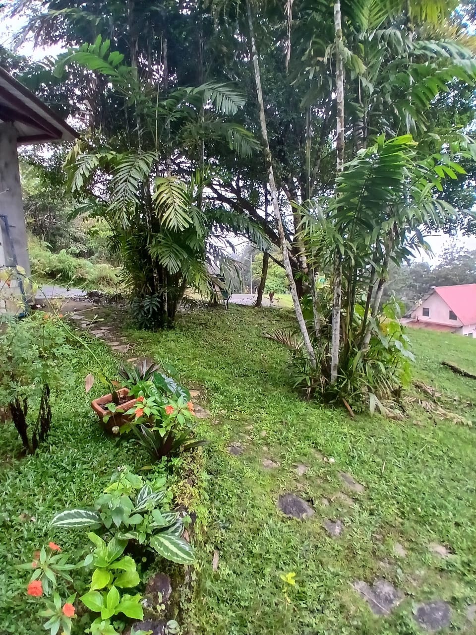 Property grounds