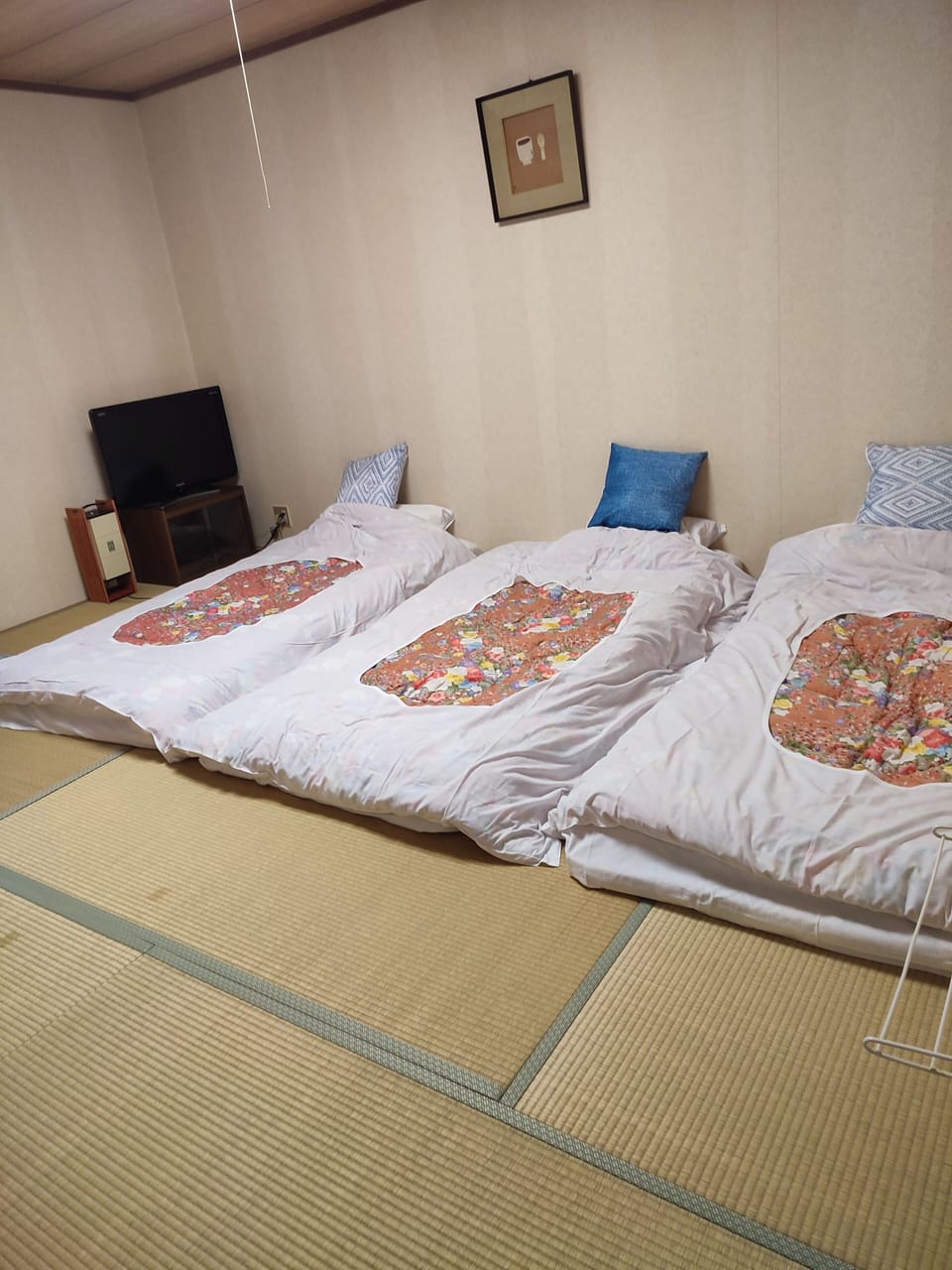 Triple Room, Garden View | Desk, laptop workspace, soundproofing, WiFi (free)
