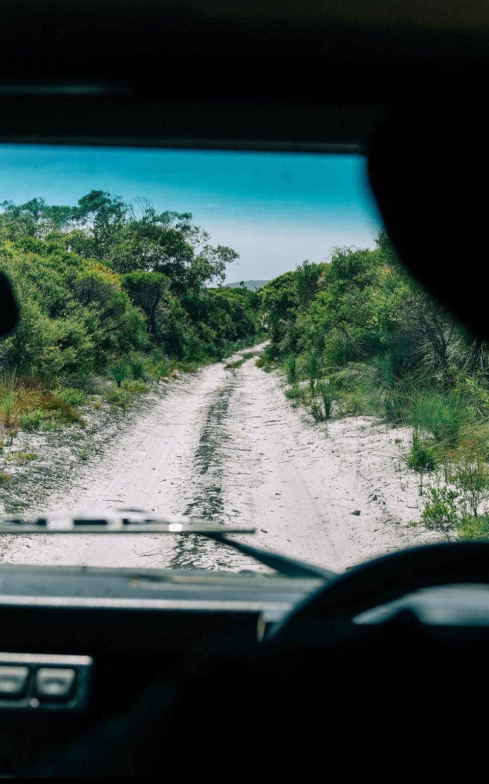 Safari