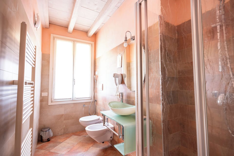 Shower, hair dryer, bathrobes, towels