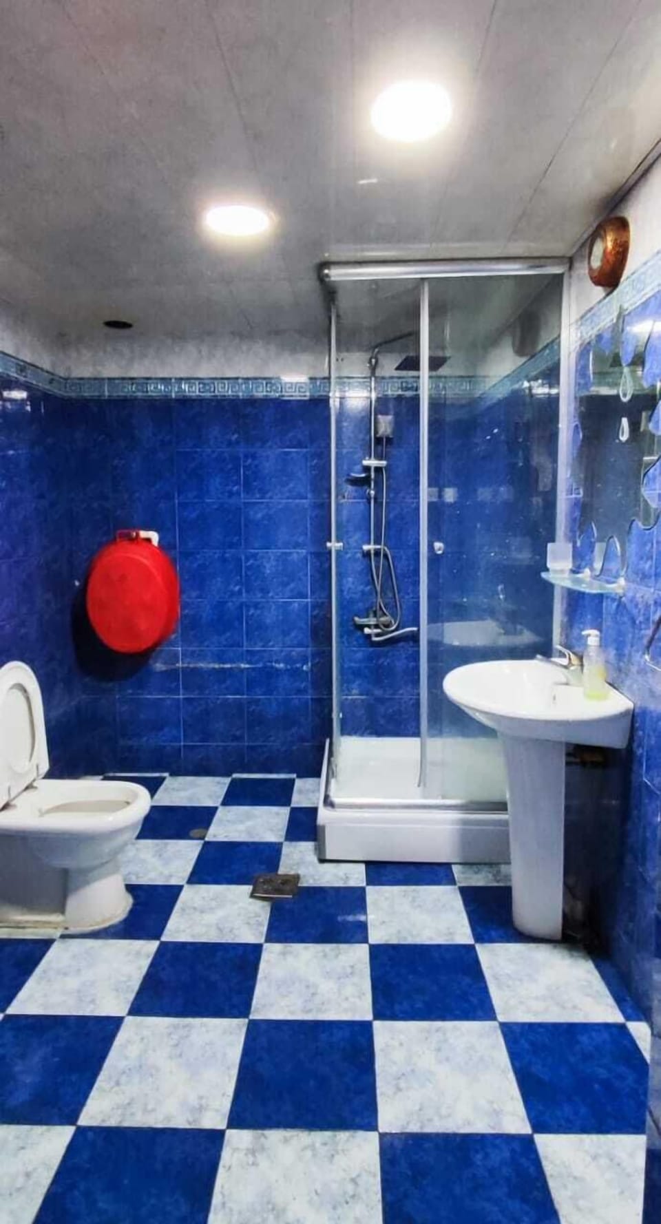 Shower, bidet, towels, soap