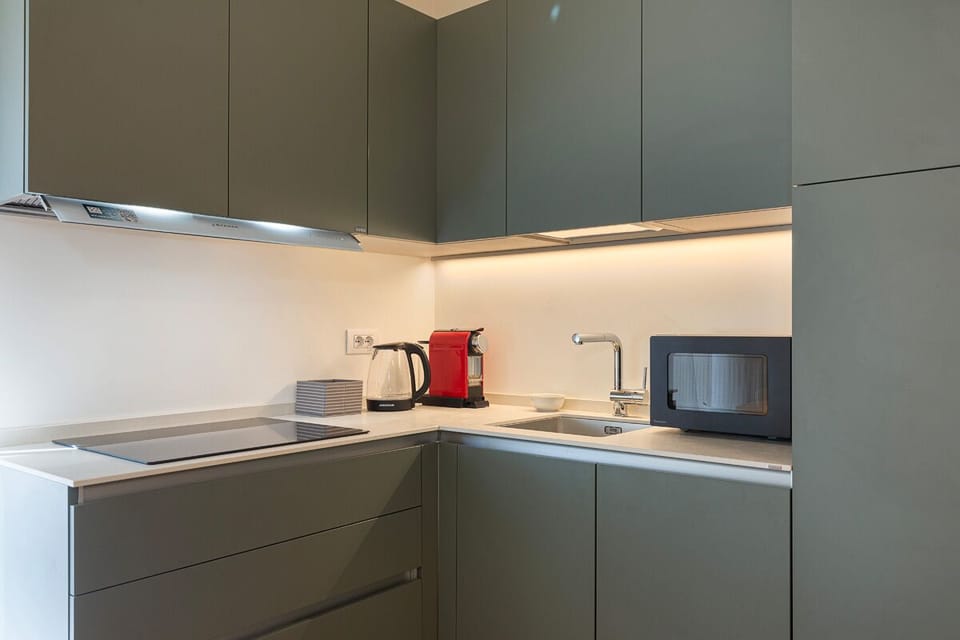 Apartment | Private kitchen | Fridge, microwave, stovetop, dishwasher