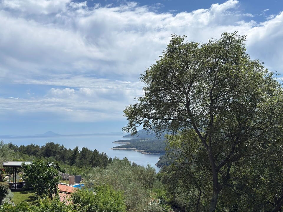 Blue, Leaf, Vegetation, Plant Community, Coastal And Oceanic Landforms, Sea, Nature Reserve, Hill Station, Jungle, Ocean
