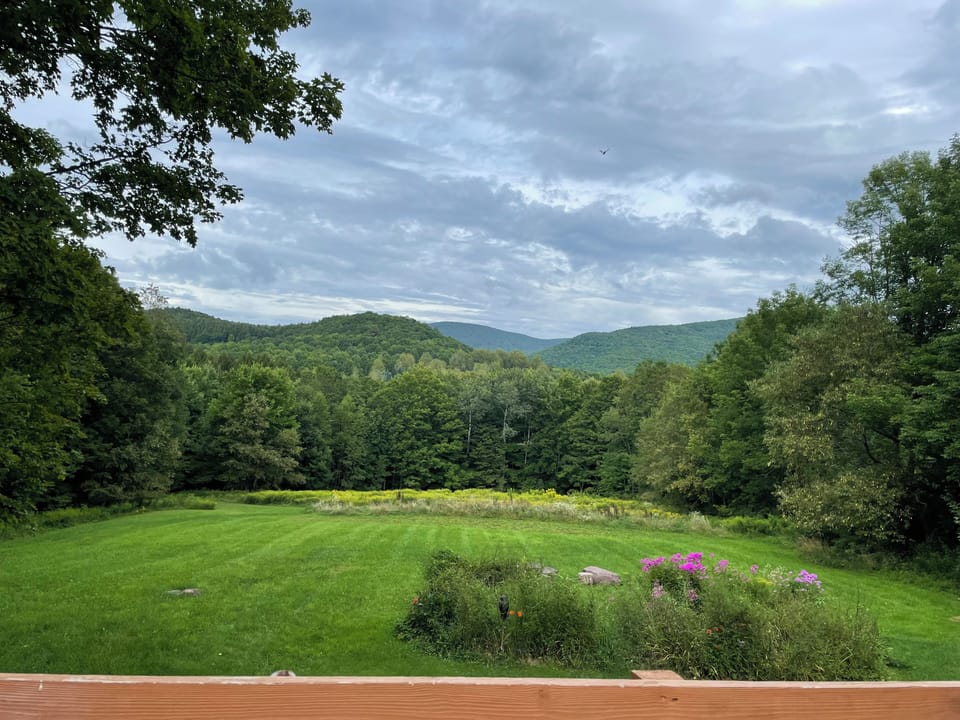 View from property
