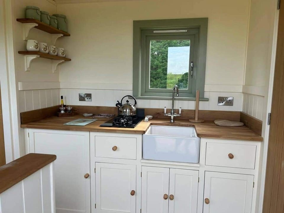 Cabin | Private kitchen | Fridge, stovetop, electric kettle, toaster
