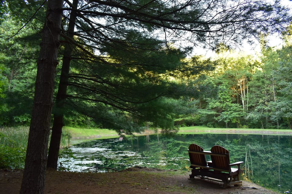 Relax on the Gliding benches while viewing wildlife at our pond