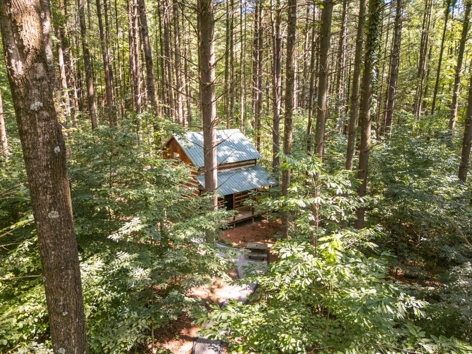 nestled in nature