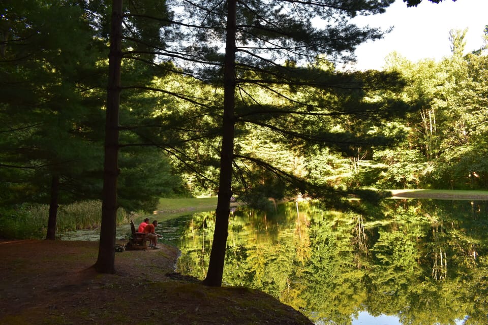 Relax on gliding benches while soaking in nature