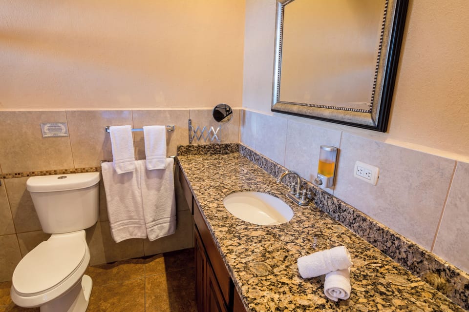 Deluxe Suite, Mountain View | Bathroom | Shower, towels, soap, toilet paper