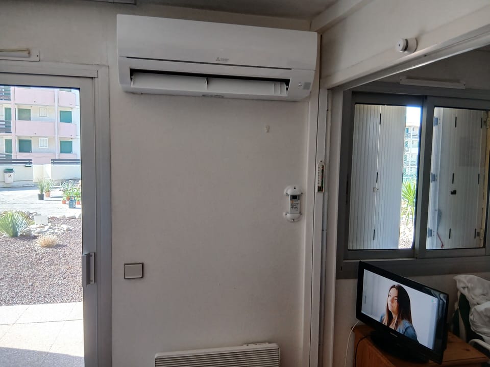 Television