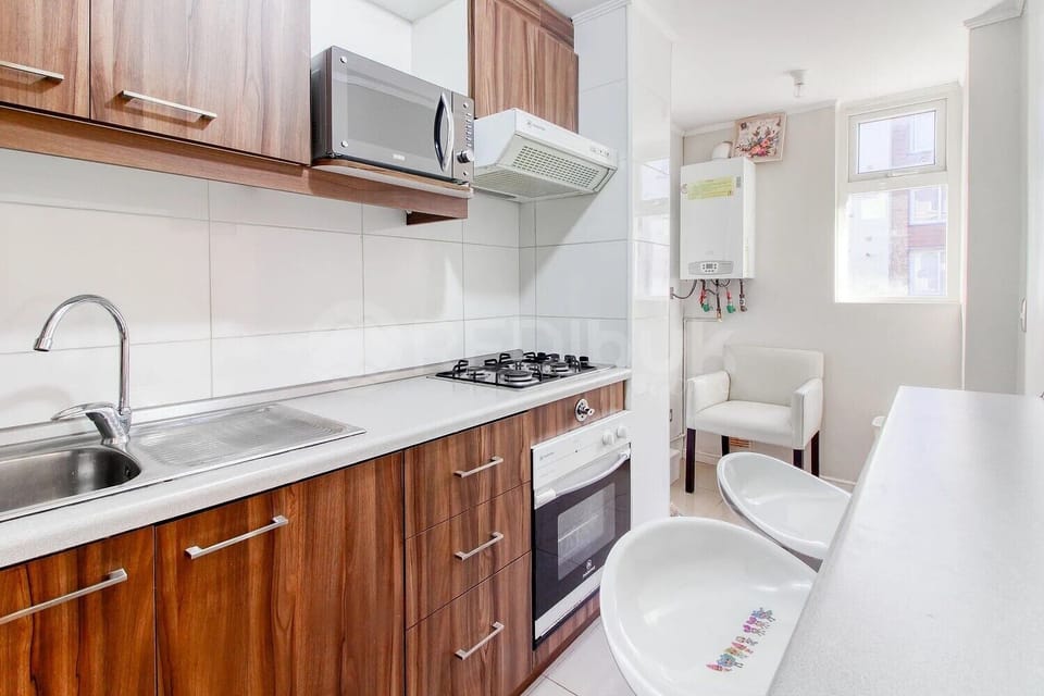 Standard Apartment | Private kitchen | Electric kettle, griddle, cleaning supplies, paper towels