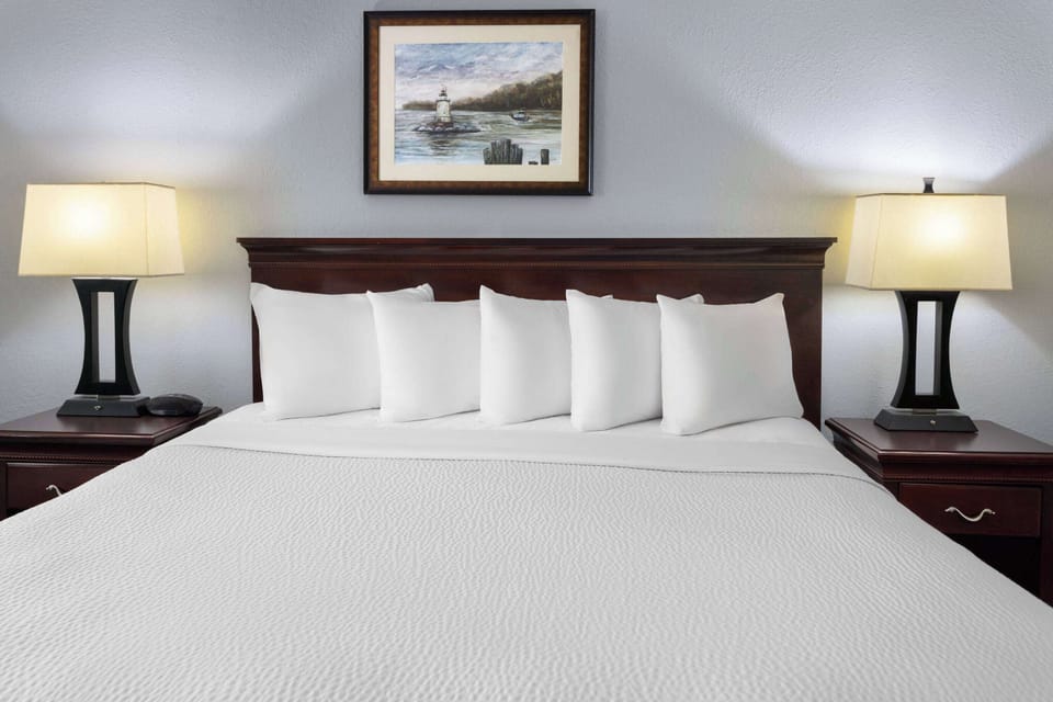 1 King Bed, Non-Smoking  | Desk, blackout drapes, iron/ironing board, free cribs/infant beds