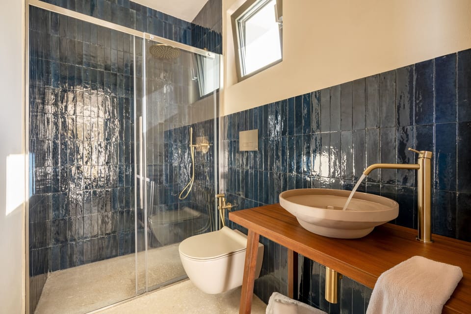 Deluxe Studio Suite | Bathroom | Shower, rainfall showerhead, eco-friendly toiletries, hair dryer