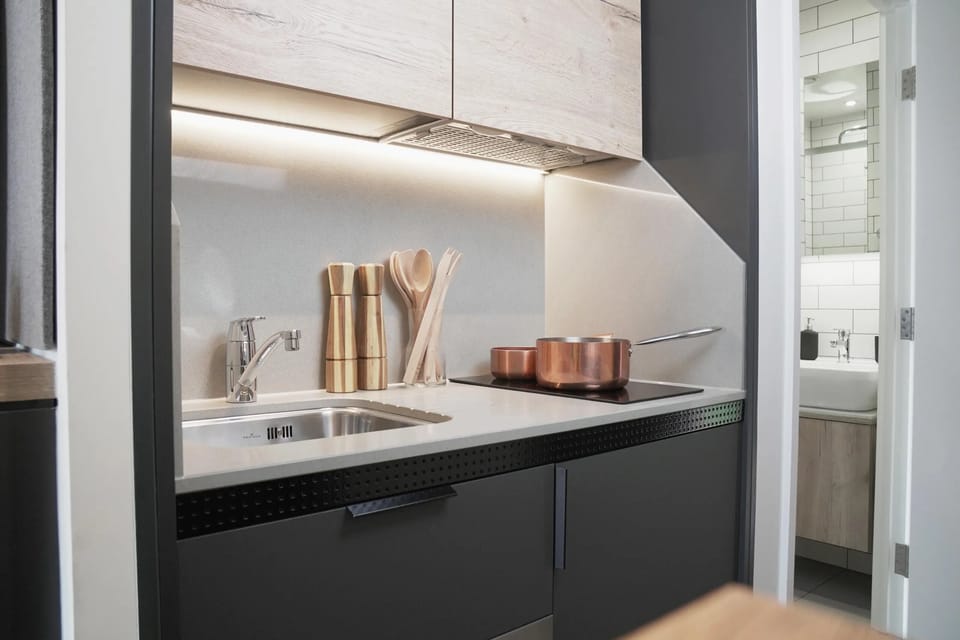 Classic Studio | Private kitchen | Fridge, microwave, oven