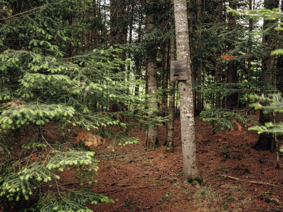 Sentier depuis le chalet !