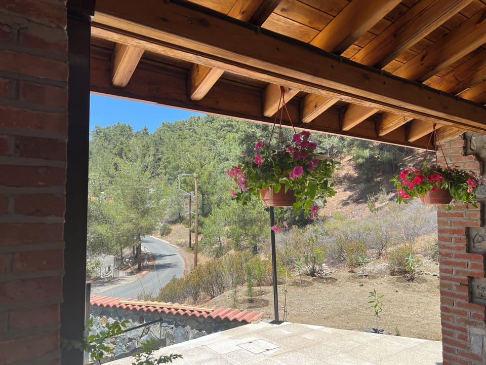 Villa, 3 Bedrooms, Terrace | Terrace/patio