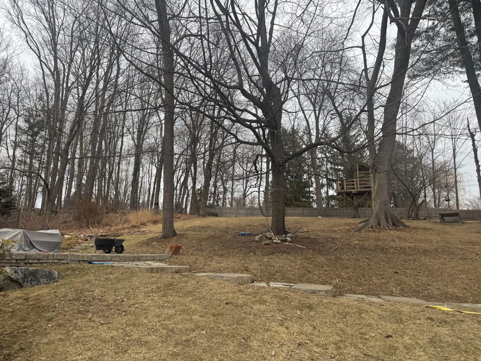 The zipline and tree house are popular with the kids and young at heart.