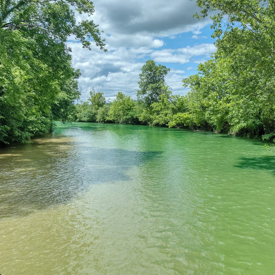 The perfect fishing hole.  You can fish from the riverbank or put your waders on