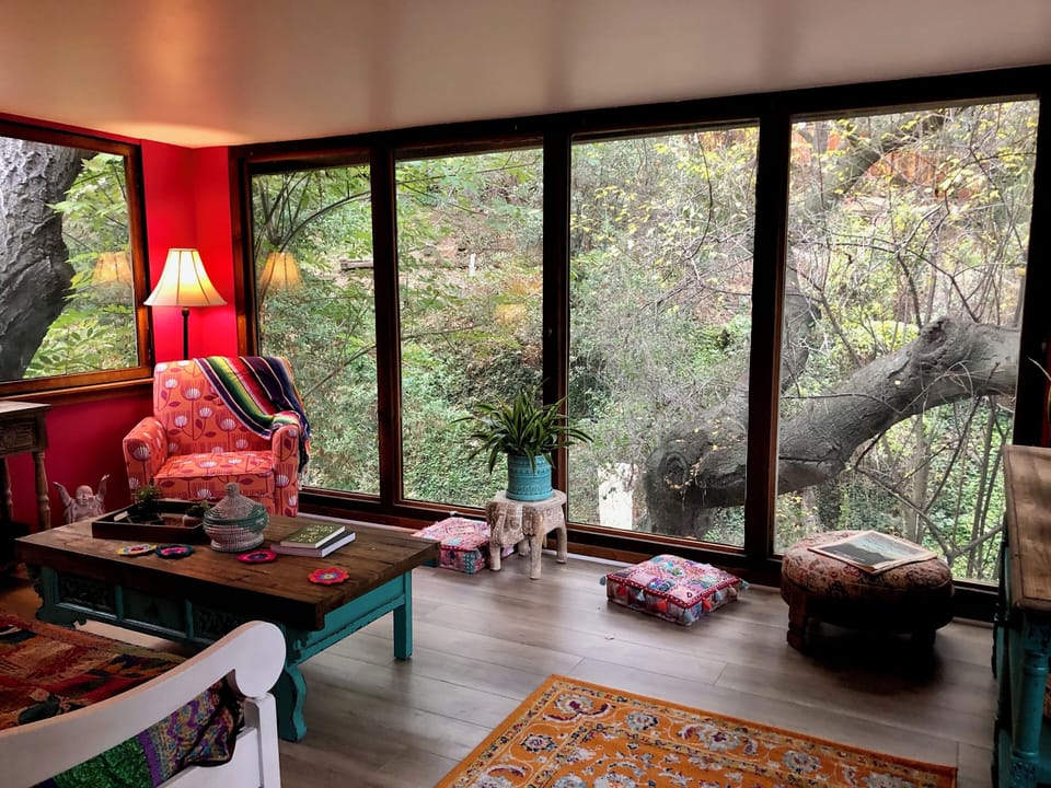 Living Room windows overlooking an ancient oak and the seasonal creek