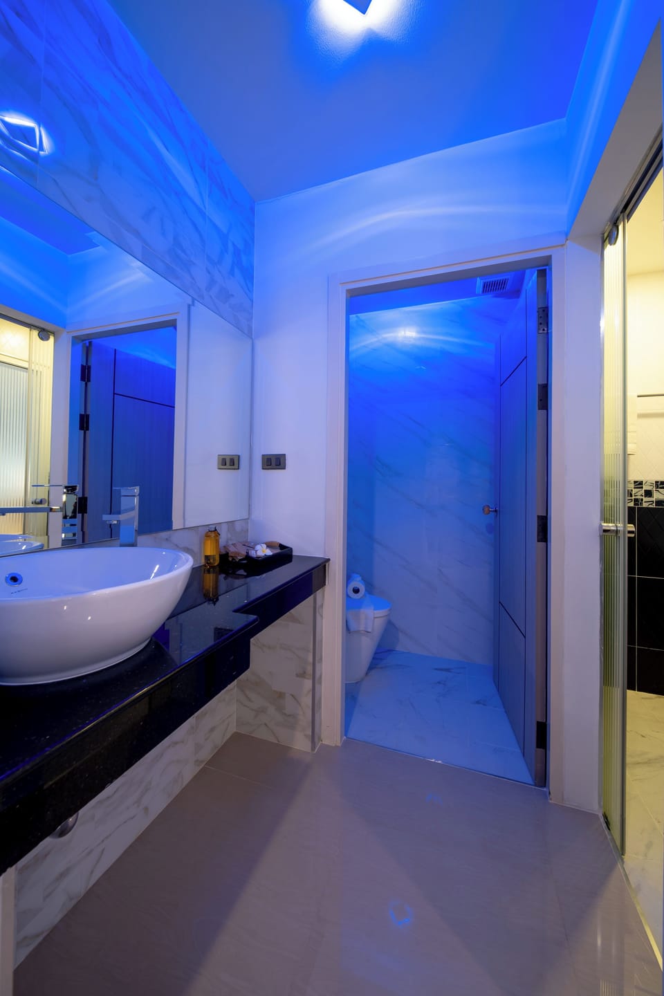 Hair dryer, soap, shampoo, toilet paper