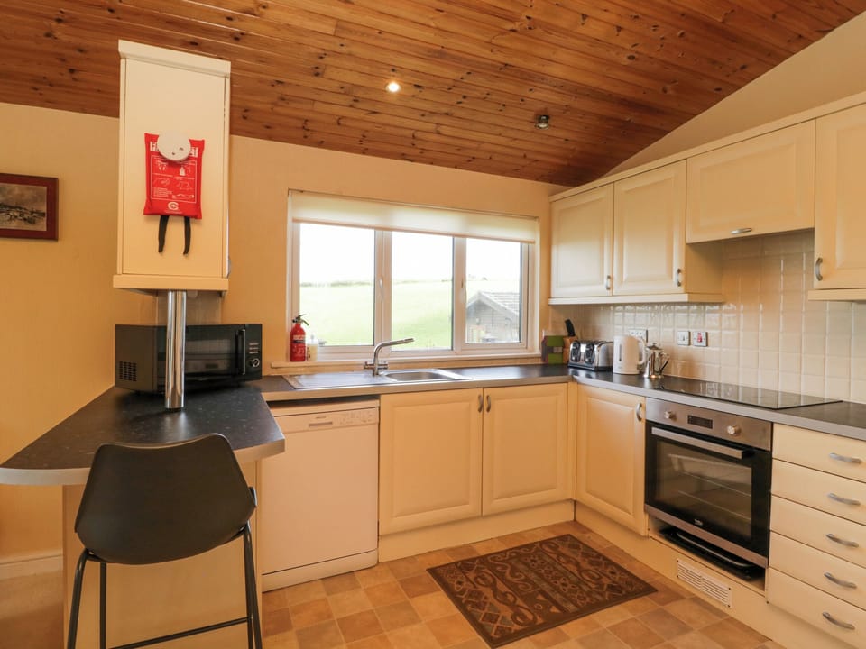 Fridge, dishwasher, electric kettle, toaster
