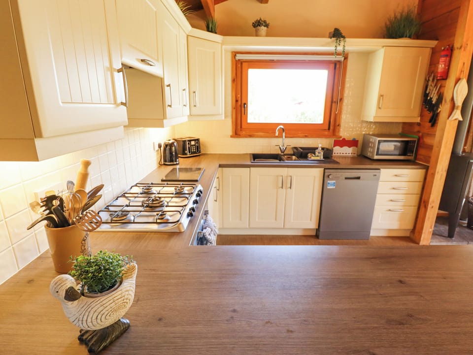 Fridge, dishwasher, electric kettle, toaster