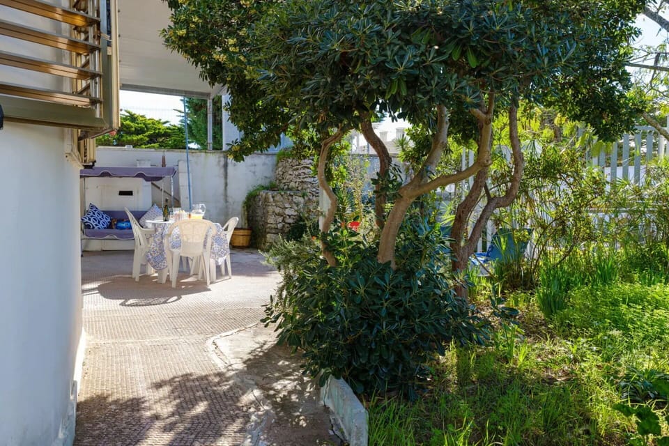 Autumn, Garden, Spring, Summer