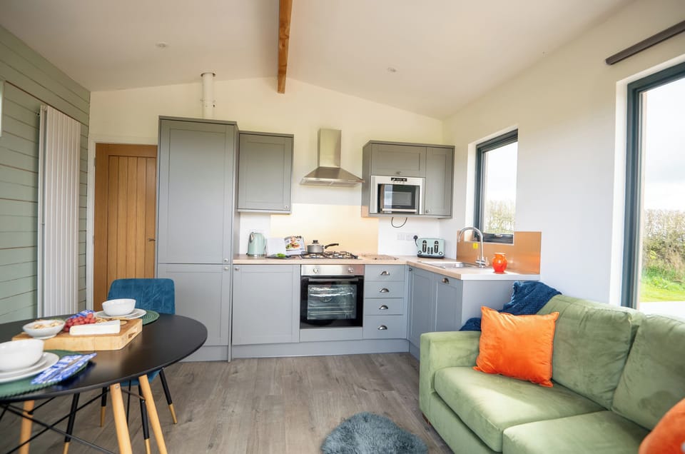 Fridge, dishwasher, electric kettle, toaster