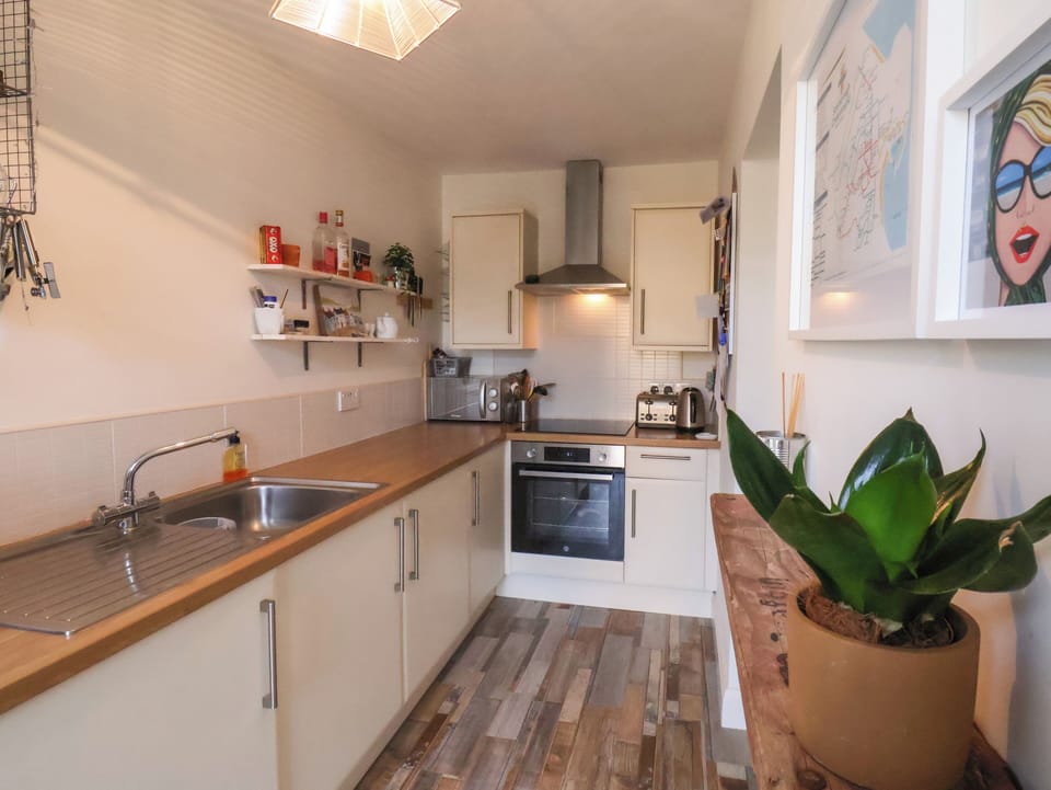 Fridge, dishwasher, electric kettle, toaster