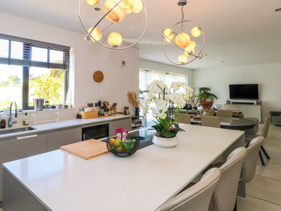 Fridge, dishwasher, cookware/dishes/utensils