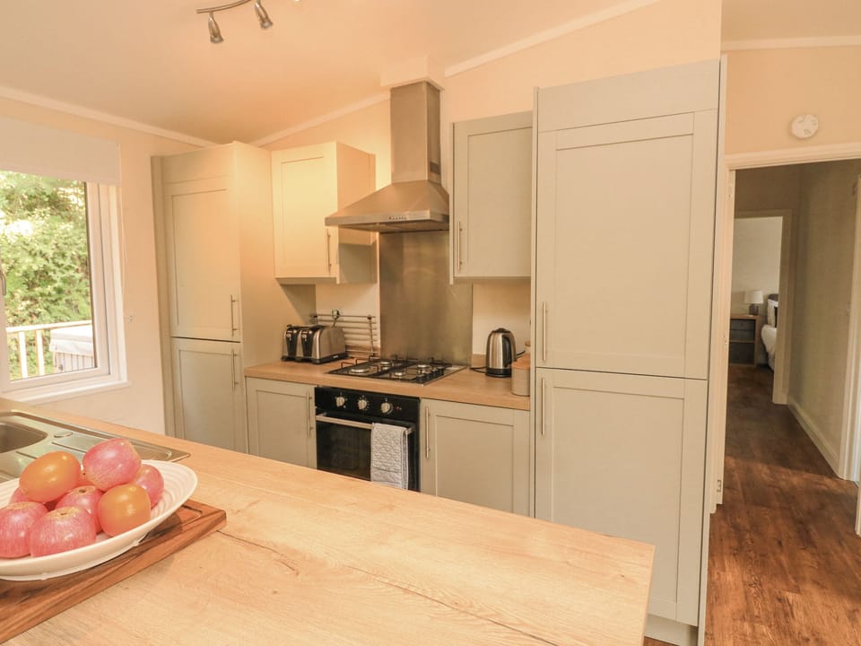 Fridge, dishwasher, cookware/dishes/utensils