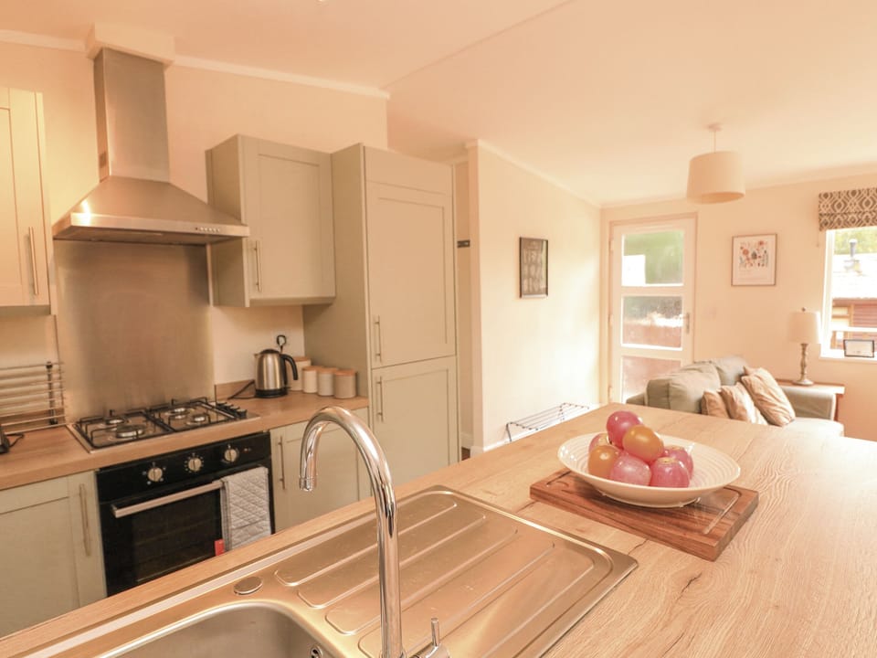 Fridge, dishwasher, cookware/dishes/utensils