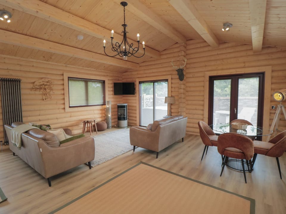 Fireplace, DVD player