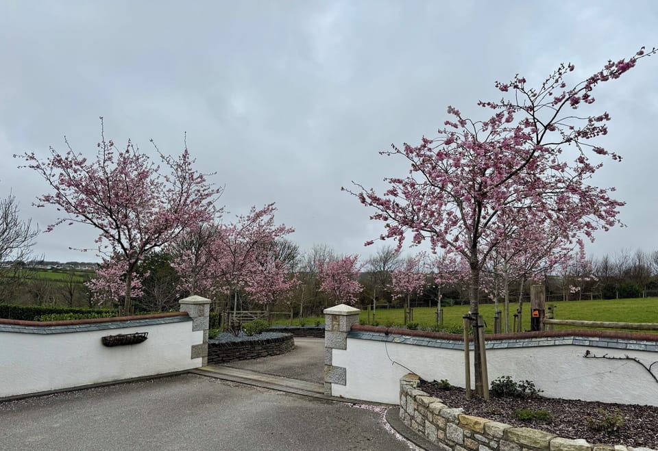 Cottage | Property grounds