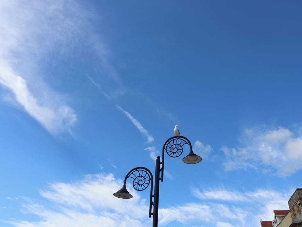 Cottage | Miscellaneous