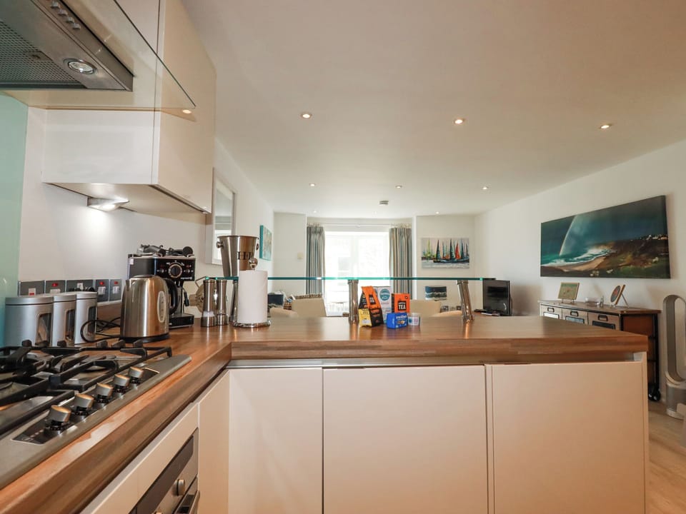 Fridge, dishwasher, cookware/dishes/utensils