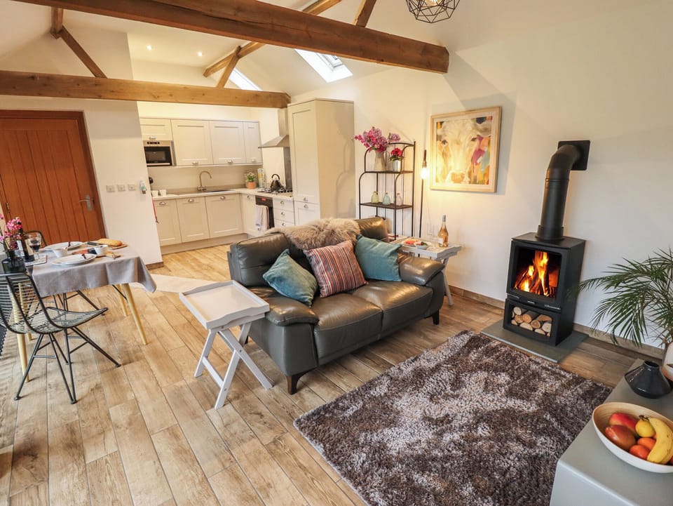 Fireplace, DVD player